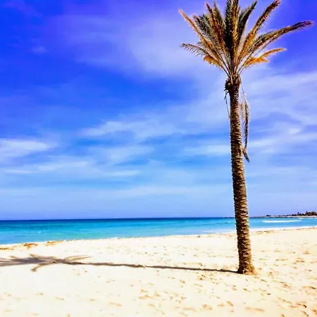 Con Giardino - Wifi Appartement San Vito Lo Capo