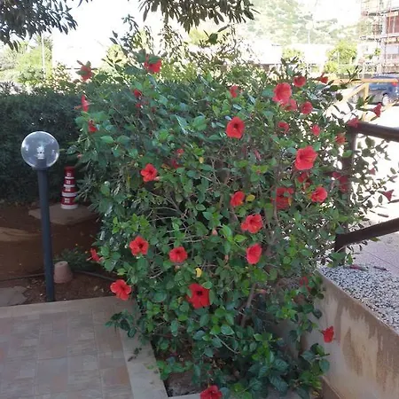 Con Giardino - Wifi San Vito Lo Capo